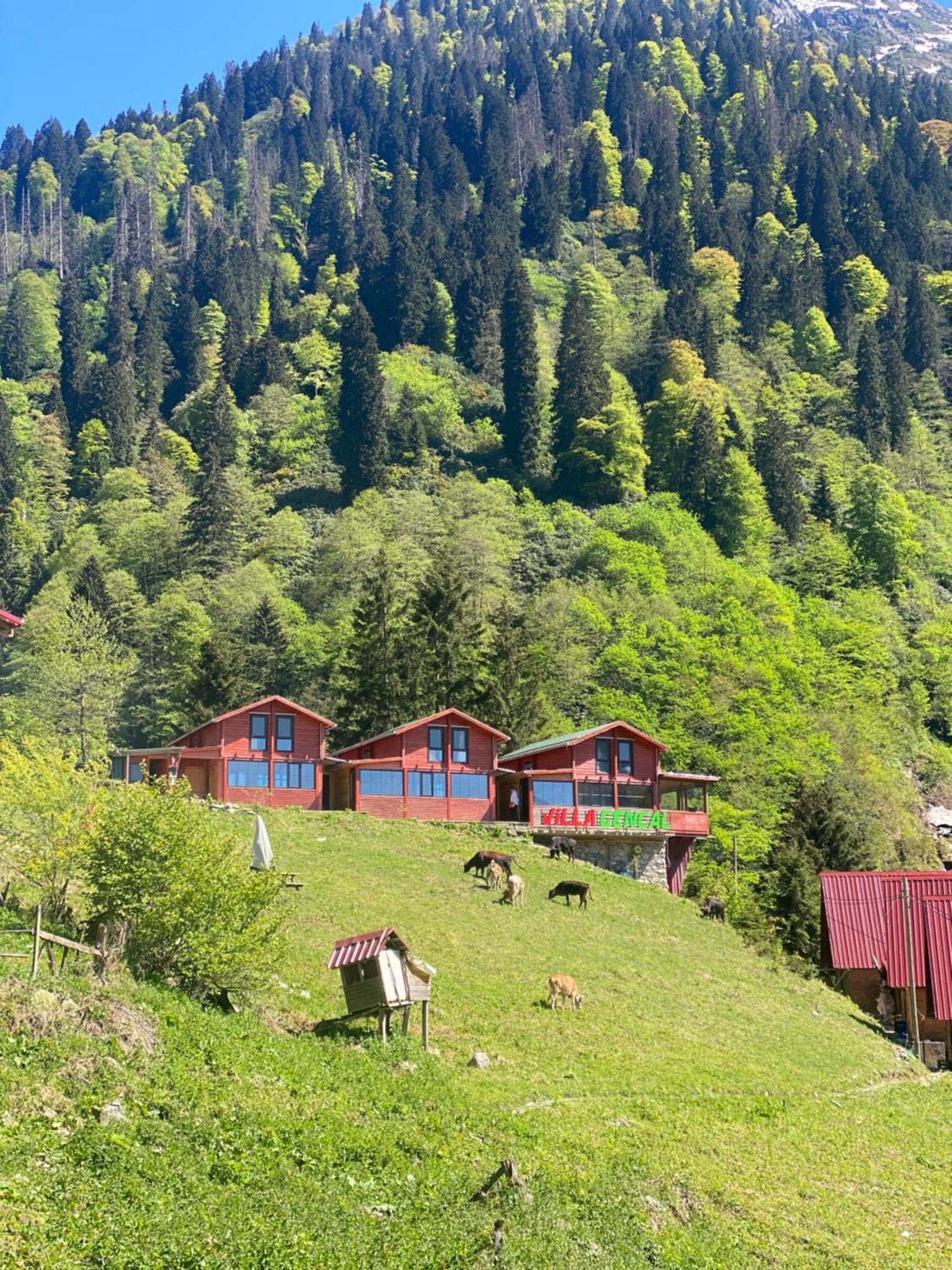 Ayder Villa Gencal Exterior photo
